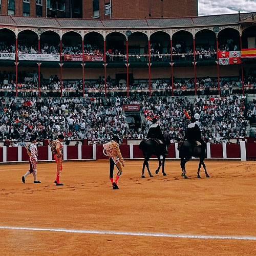 foto-plaza-toros-valladolid-4