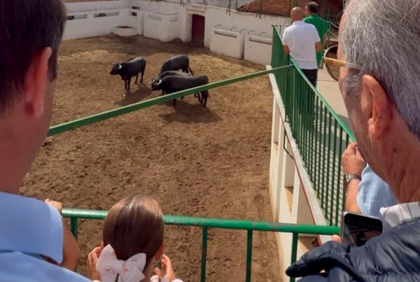 02visitas-corrales-plaza-toros-valladolid