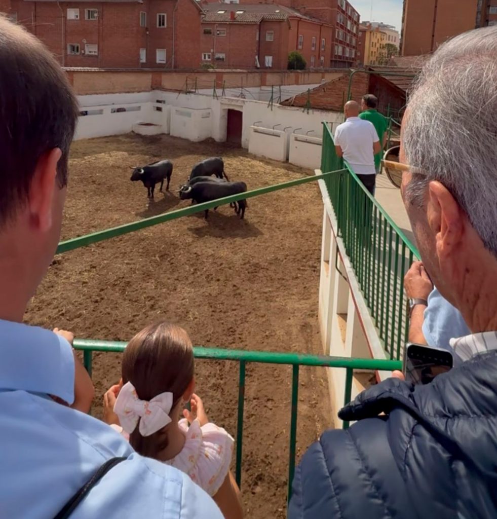 02visitas-corrales-plaza-toros-valladolid