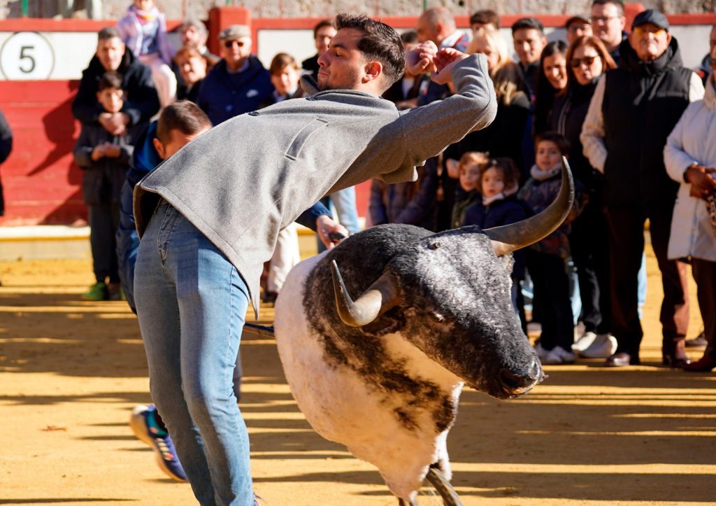 2-navidad-palza-toros-valladolid-2025